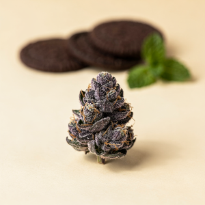 Thin Mint Cookies THCA Flower